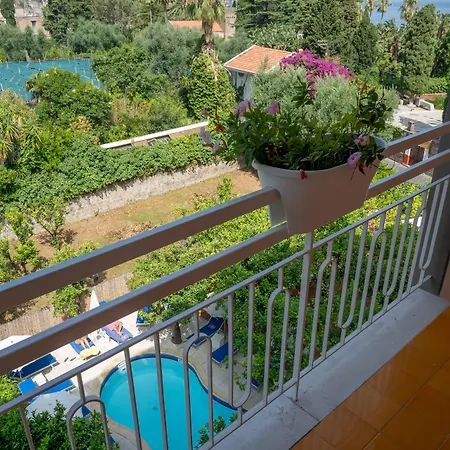 Boutique Regina Отель