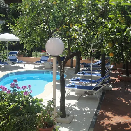 Boutique Regina Отель