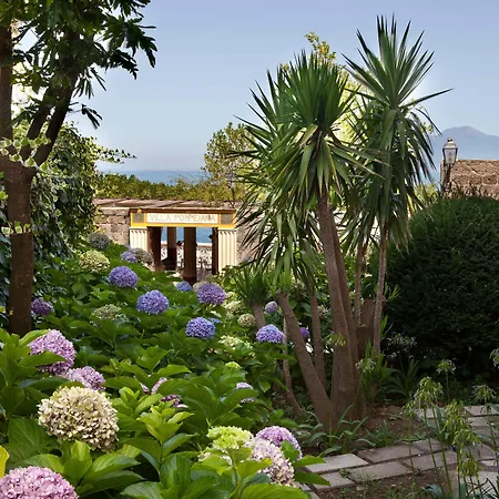 Boutique Regina Sorrento